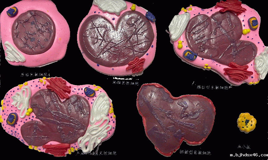 40a7abaadfa472fc1db638fe95cb82e