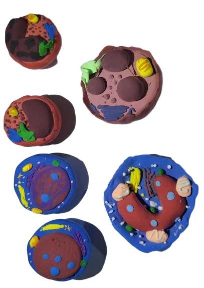 3443582303e4c0fe8e8cbc4122e34a4e_