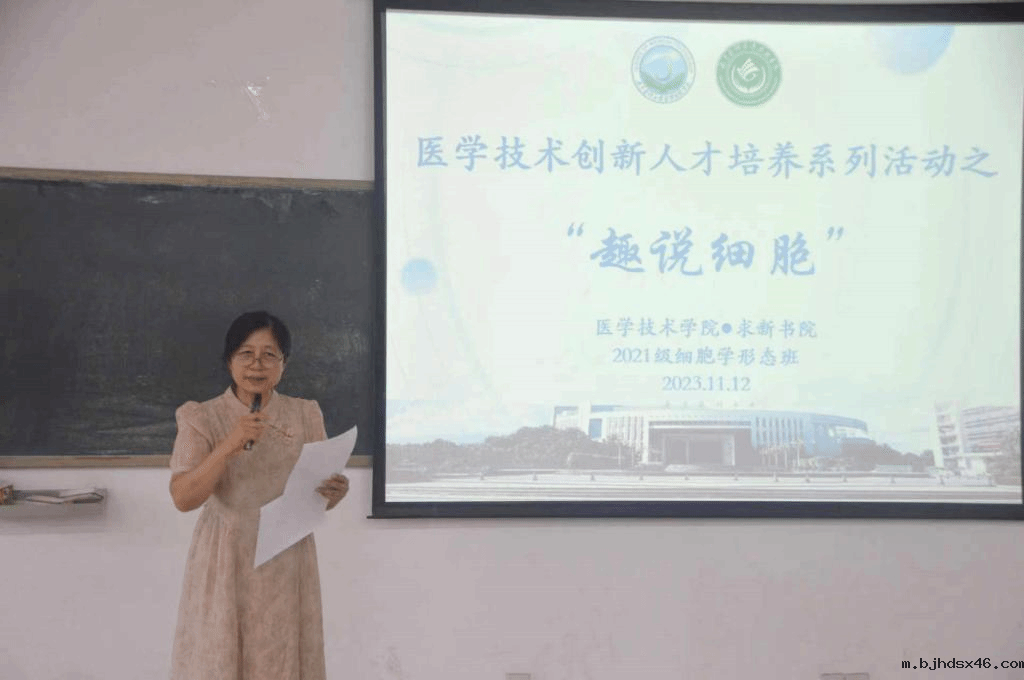 图示, 示意图 中度可信度描述已自动生成:ver1